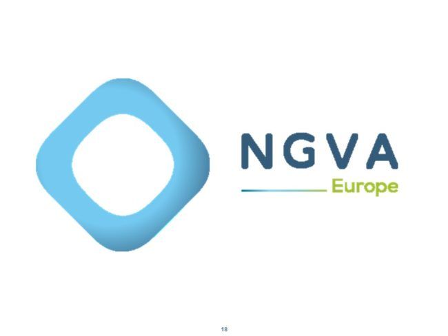 Logo NGVA adaptado web