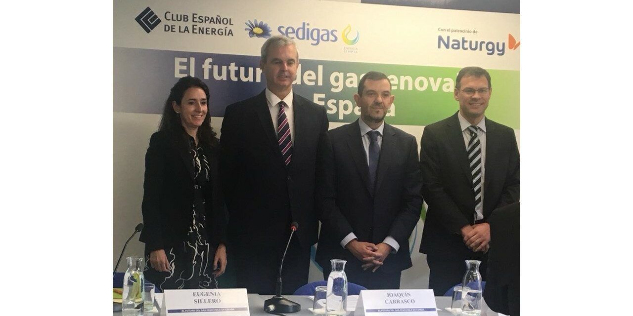 gasnam jornada gas renovable club español de la energia