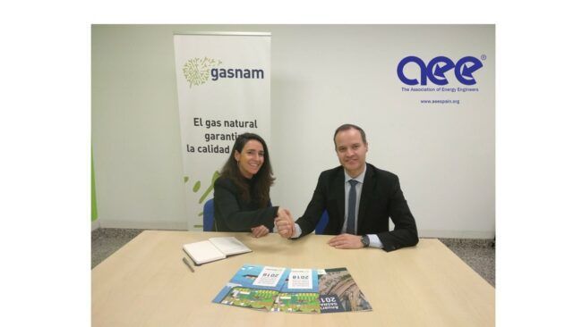 foto AEE logo 2