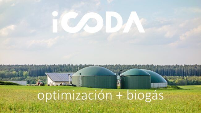 Foto ICODA