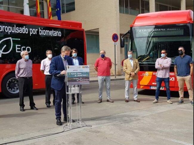 zaragoza