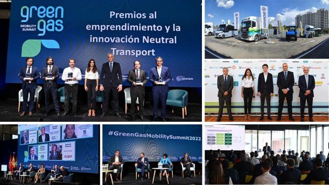 Composición GGMS 2022
