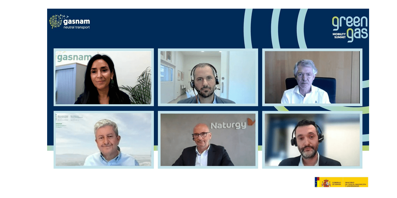 Foto Conjunta_Webinar_biometano