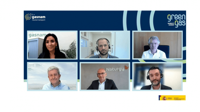 Foto Conjunta_Webinar_biometano