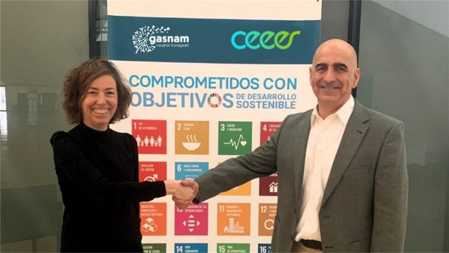 CEEES y Gasnam