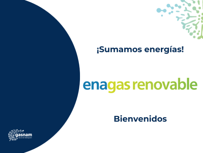 Enagás Renovable